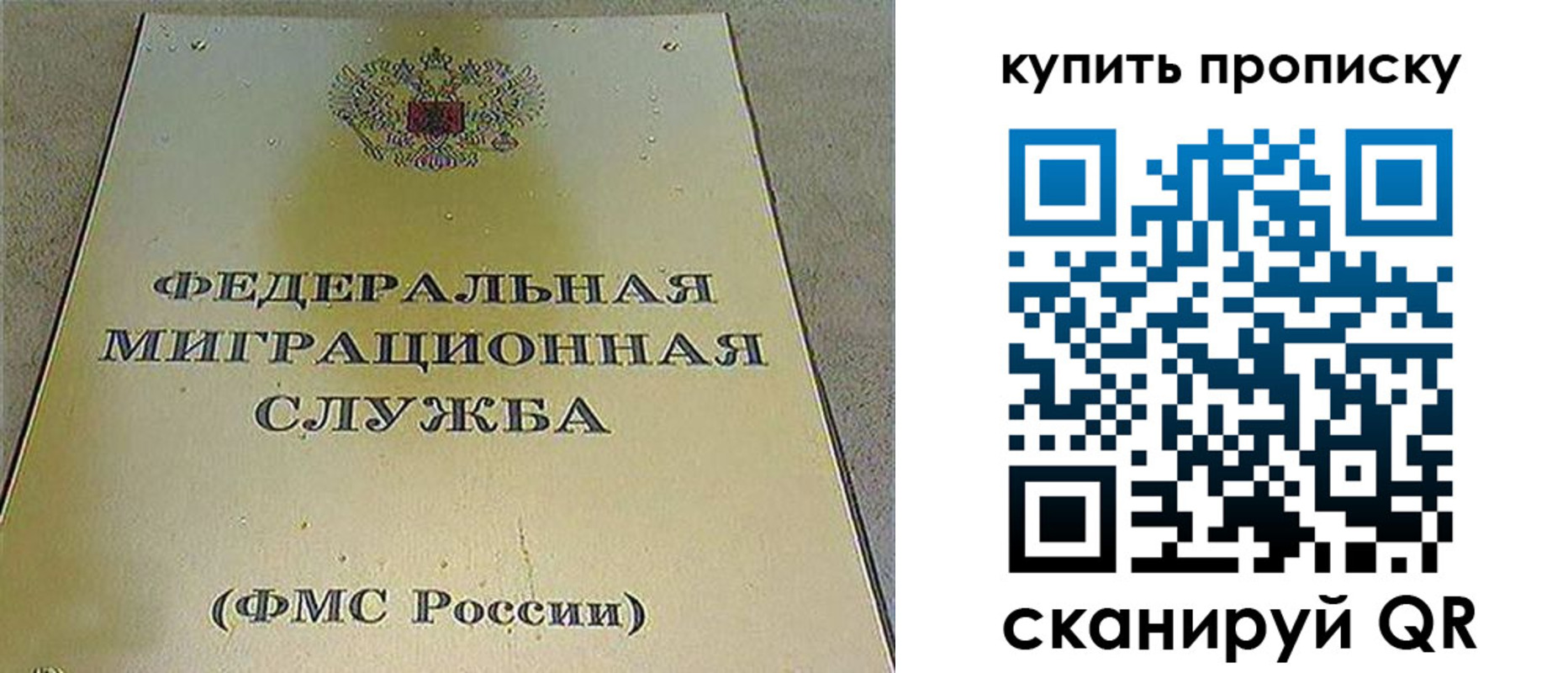 где прописаться в Дмитрове